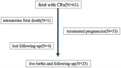 A Multidisciplinary Approach in Prenatal Diagnosis of TSC With Cardiac Rhabdomyoma as the Initial Symptom